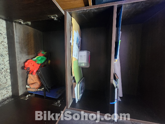 Wooden Storage Cabinet with Shelves